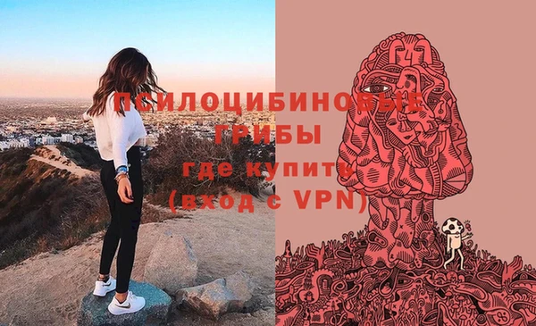 спиды Абаза