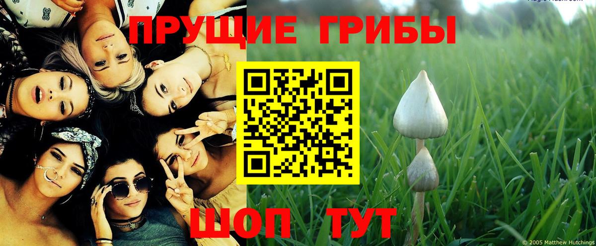Псилоцибиновые грибы прущие грибы  Вход с VPN  Кинешма  Галлюциногенные грибы мухоморы 